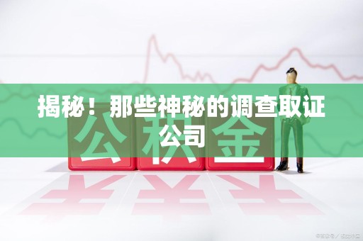 南京揭秘！那些神秘的调查取证公司