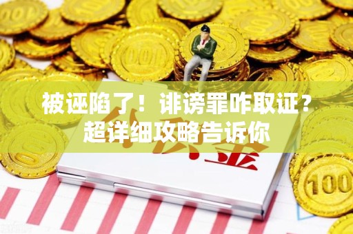 南京被诬陷了！诽谤罪咋取证？超详细攻略告诉你