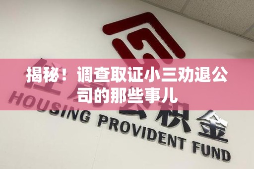南京揭秘！调查取证小三劝退公司的那些事儿