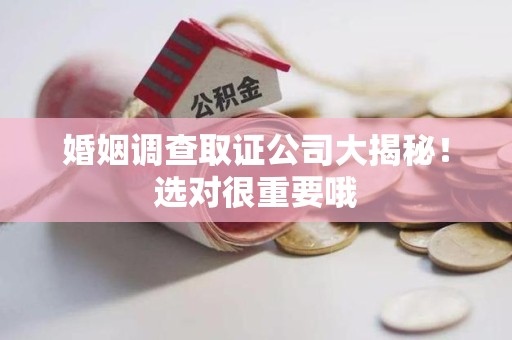 南京婚姻调查取证公司大揭秘！选对很重要哦