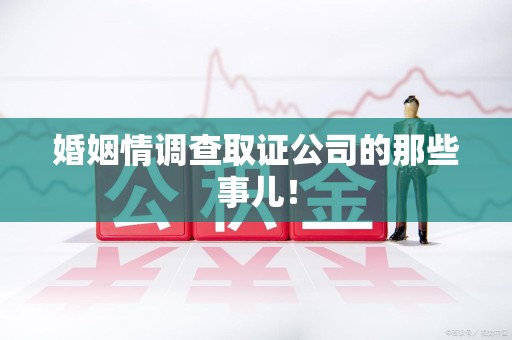 南京婚姻情调查取证公司的那些事儿！